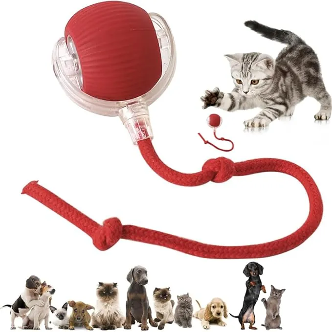 Rolling Pet Ball - Image 3