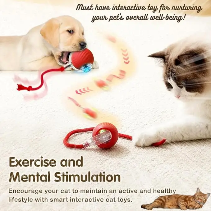Rolling Pet Ball - Image 4