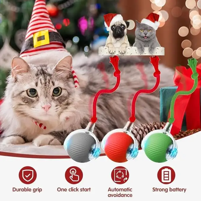 Rolling Pet Ball - Image 5