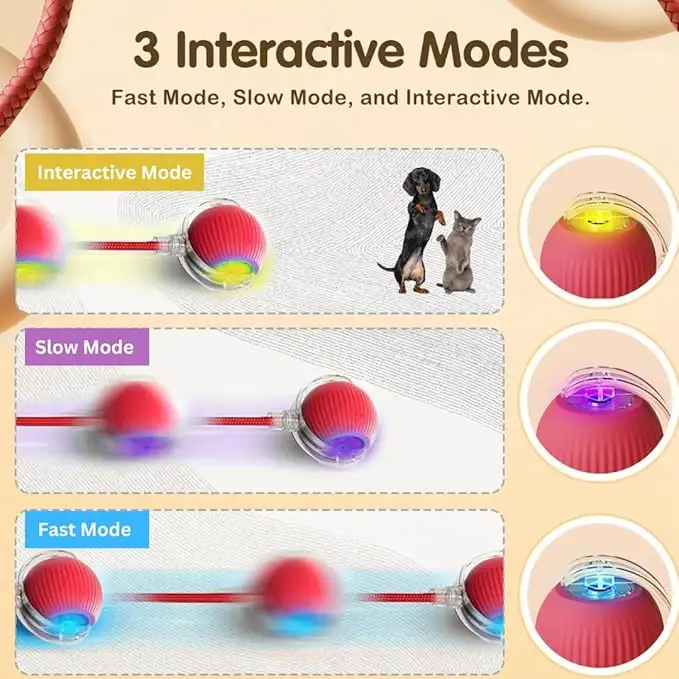 Rolling Pet Ball - Image 2