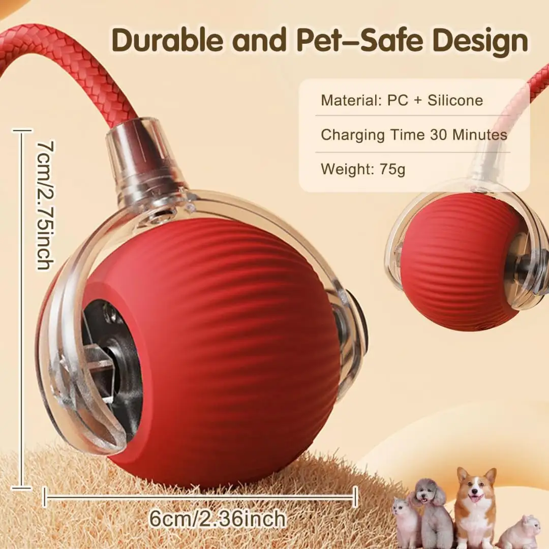 Rolling Pet Ball