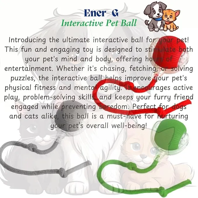 Rolling Pet Ball - Image 7