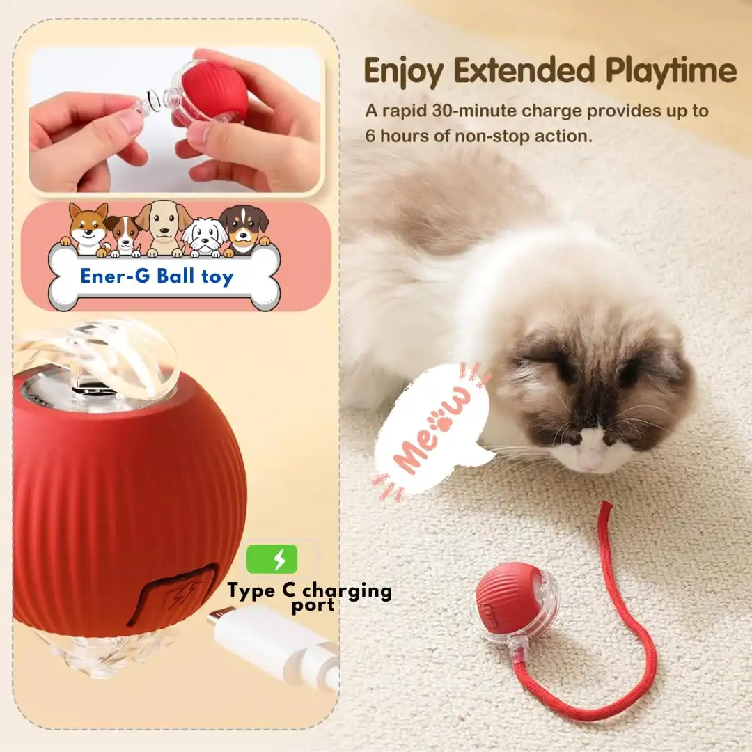 Rolling Pet Ball - Image 8