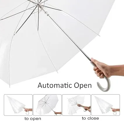 Transparent Umbrella - Image 3